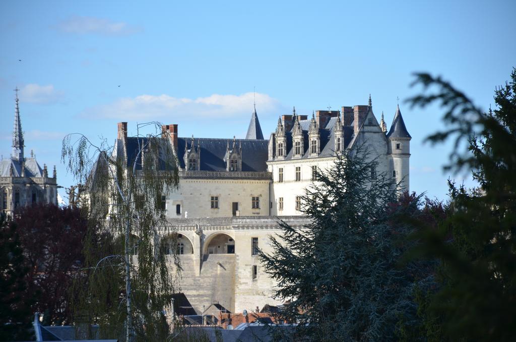 Hotel Manoir Du Parc (Adults Only) Amboise Exterior foto