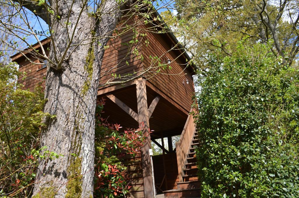 Hotel Manoir Du Parc (Adults Only) Amboise Exterior foto